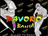Pavorô da Bahia