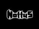 Nottus