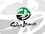 SELVA BRANCA DA BAHIA