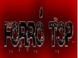 Grupo Forró Top