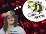 Cow Bees