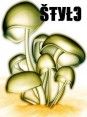 Style of Soul