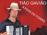tiao gaviao a fera do forro