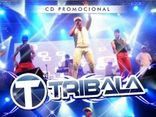BANDA TRIBALA