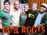 Javaroots