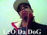 Leo Da Dog