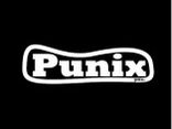 Punix