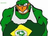 Torcida Fúria Icasiana