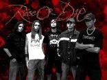Rise Or Die