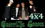 Guerrilha Sonora