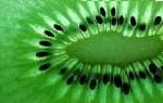 OVERSHOOT