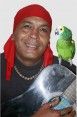 pirata celestino
