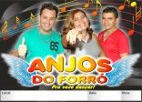 anjos do forro oficial