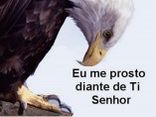 Finalizado