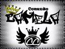 Conexão Camela