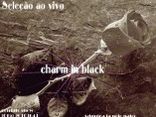 Charm in Black