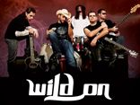 Wild On