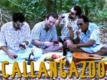 Callangazoo