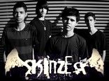 Skinzer