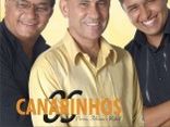 OS CANARINHOS