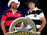Welington & Bruno Viola