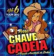 FORRÓ CHAVE DE CADEIA ( OFICIAL )