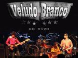 Veludo Branco