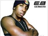 EverBrowN