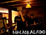 Macaco Alado