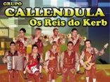GRUPO CALLENDULA