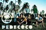 PEDECOCO
