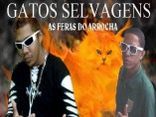 GATOS SELVAGENS AS FERAS DO ARROCHA