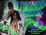 os tubaroes