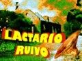 Lactario Ruivo