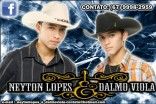 Neyton Lopes & Dalmo Viola
