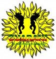 Radiola Guarani
