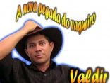 VALDIR O AMANTE DO NORDESTE
