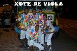 Xote de Viola