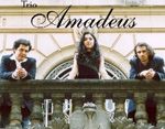 Trio Amadeus