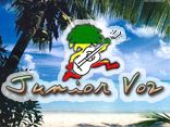 Junior Voz