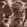 João Vitor & Matheus