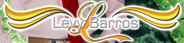 Levy Barros