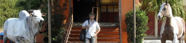 Paulo Vitor 
