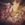biiiaramos