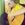 edjan_cbjr