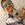 monad