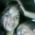 Bene Paula Rodrigues
