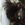 caio_tinoco